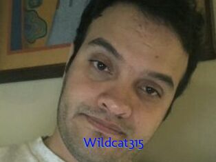 Wildcat315