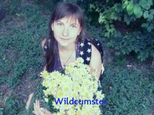 Wildcumster