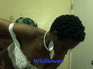 Wildflower1