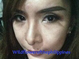 Wildflowerofthephilippines