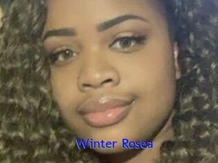 Winter_Rosea