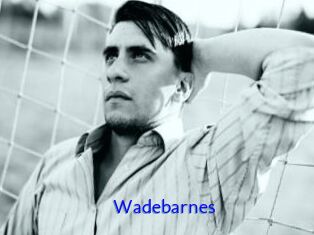 Wadebarnes
