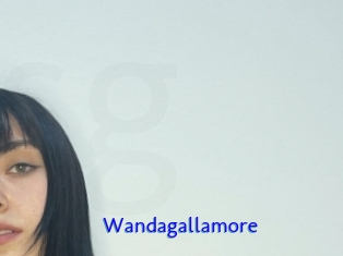 Wandagallamore