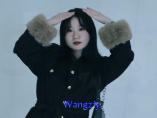 Wangziy
