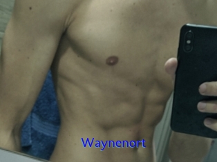 Waynenort