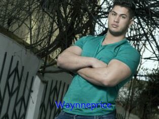 Waynneprice