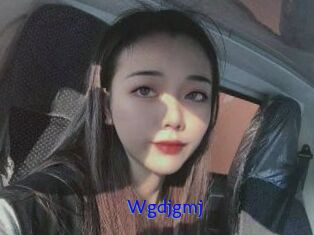 Wgdjgmj
