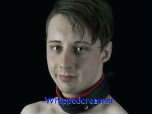 Whippedcreamer