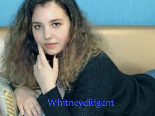 Whitneydiligent