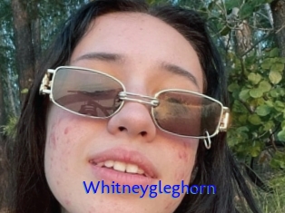 Whitneygleghorn