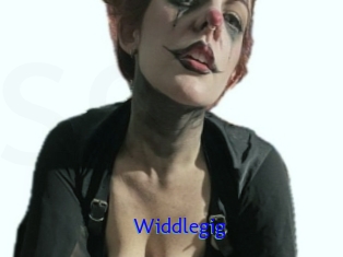 Widdlegig