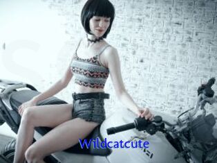 Wildcatcute