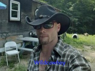 Wildcowboy