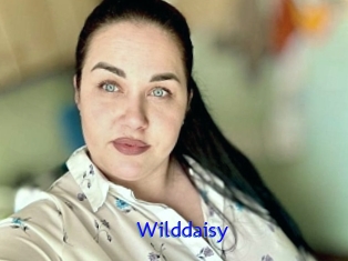 Wilddaisy