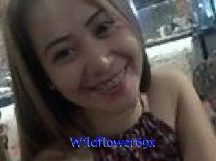 Wildflower69x