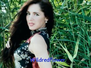 Wildredflower
