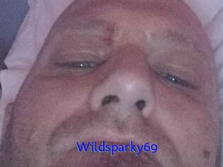 Wildsparky69
