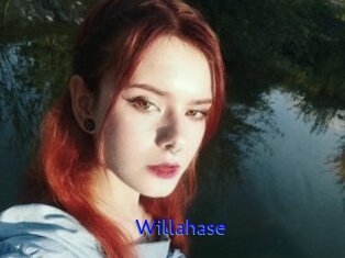 Willahase