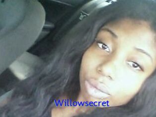 Willow_secret