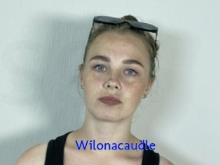 Wilonacaudle
