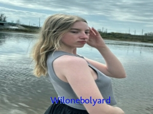 Wilonebolyard