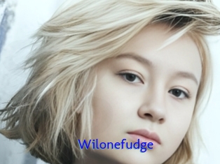 Wilonefudge