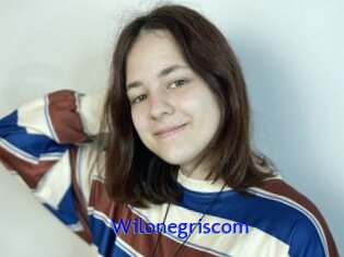 Wilonegriscom