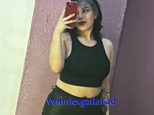 Winniexgallahad