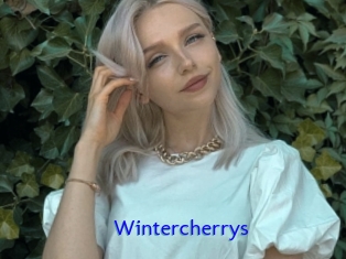 Wintercherrys