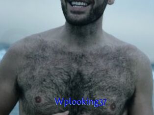 wplooking37 Sexo Gratis