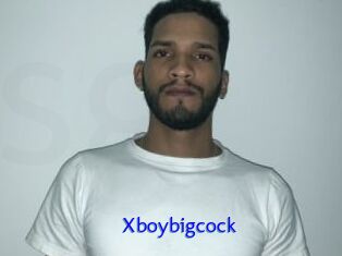 Xboybigcock