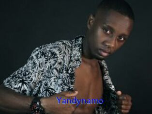Yandynamo