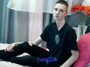 YangZak