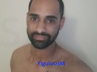 Yigolo0388