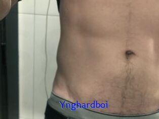 Ynghardboi