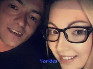 Yorkies