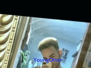 YoungOtter