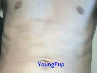 YoungPup