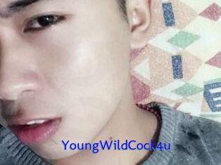 YoungWildCock4u Sexo Gratis