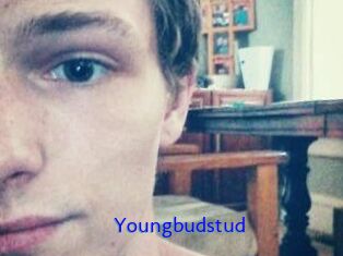 Youngbudstud