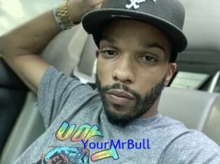 YourMrBull