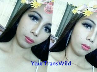 YourTransWild