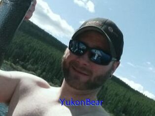 YukonBear