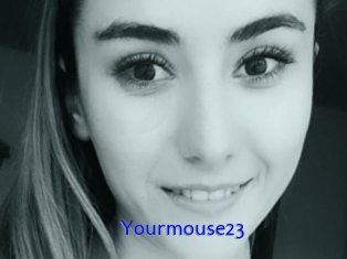 Yourmouse23