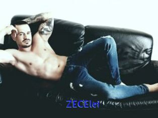 ZECElei