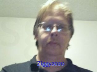 Ziggy2020