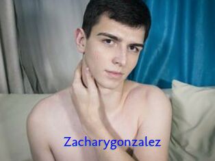 Zacharygonzalez