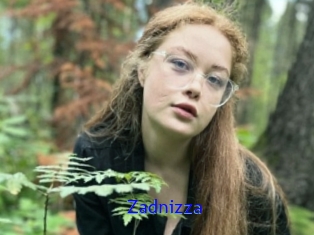 Zadnizza