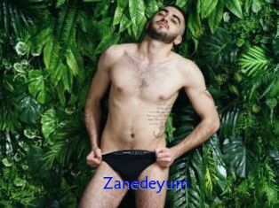 Zanedeyum