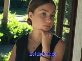 Zeldadrudge
